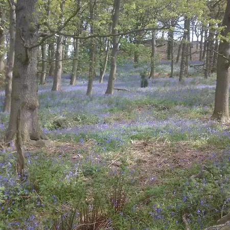 Feriehus Bramble & Rossmoor *